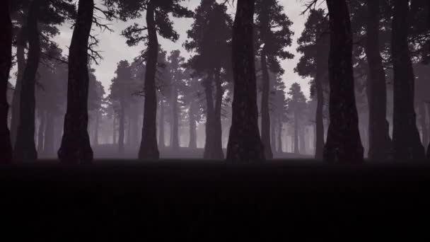 Evening spooky forest 3d realistic footage — Stock Video