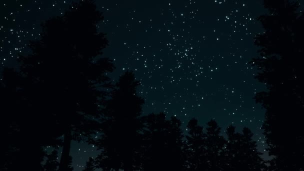 Noche cielo estrellado claro en bosque 3d imágenes realistas — Vídeo de stock