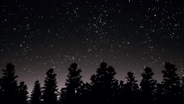 Noite céu estrelado e árvores silhuetas panorama 3d imagens realistas — Vídeo de Stock