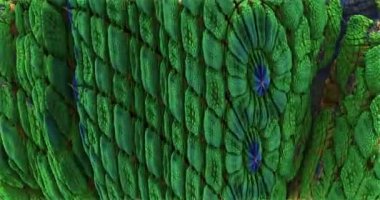 Soyut yanardöner mikroorganizmalar 3 boyutlu görüntülerde yakınlaşır