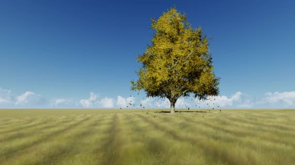 Lonely tree in field 3d realistic footage — Stock Video