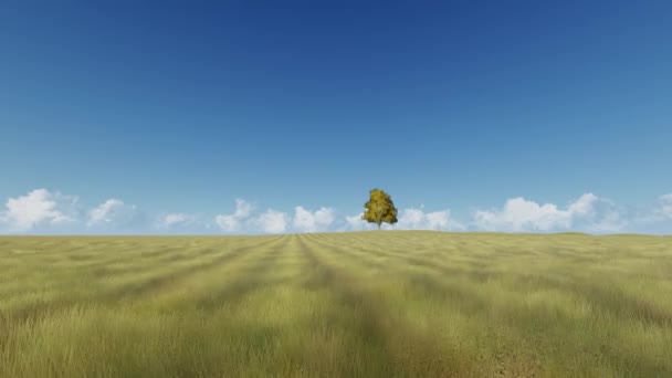 Árbol solitario en el campo zoom en imágenes realistas 3d — Vídeos de Stock