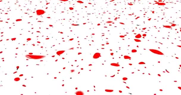 赤インクスプラッタ上の白い背景アニメーション — ストック動画