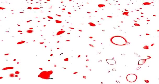 Rode verf splatter op witte achtergrond animatie — Stockvideo