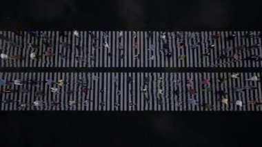 Zebra insanlar yağmurda