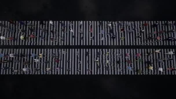 Zebramenschen im Regen — Stockvideo