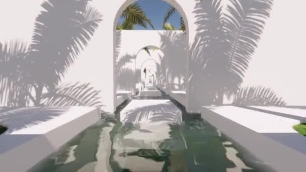 Beautiful green alley palms tree on white. Tropical landscape. Paradise nature. Summer scene. — Stock Video