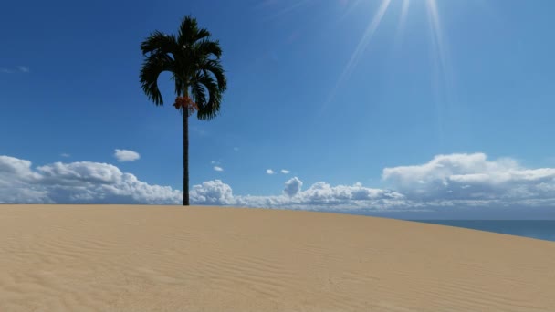 Hermosa planta de diseño de isla de palma — Vídeos de Stock