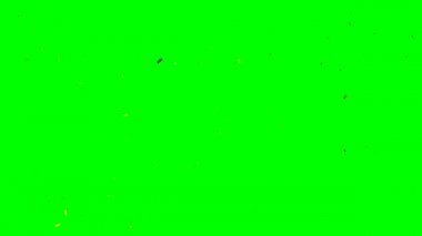 Yeşil ekranda altın yılanbalığı. Metalik eğim. Doğum günü kutlaması. Yeni yıl kartı. Sarı kağıt. Konfeti izole edildi. Sihirli ışık. Sihirli Noel süslemesi.