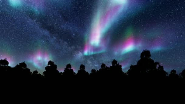 Aurores boréales épicéa Paysage étoiles nocturnes. Scène forestière. — Video