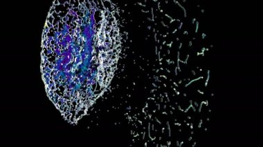 Dört damla su çarpışır ve bir sürü sıçrama oluşur.