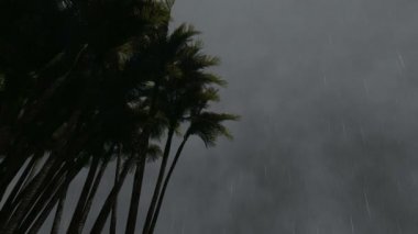 Yıldırım tropikleri Palmiye ağaçları Fırtınalı gökyüzü manzarası.