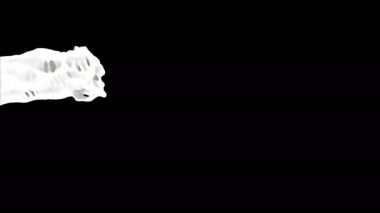 Süt jeti siyaha boyanır. Süper Yavaş Hareket 1000fps