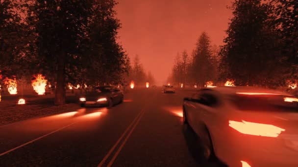 Brand väg skog USA trafik — Stockvideo