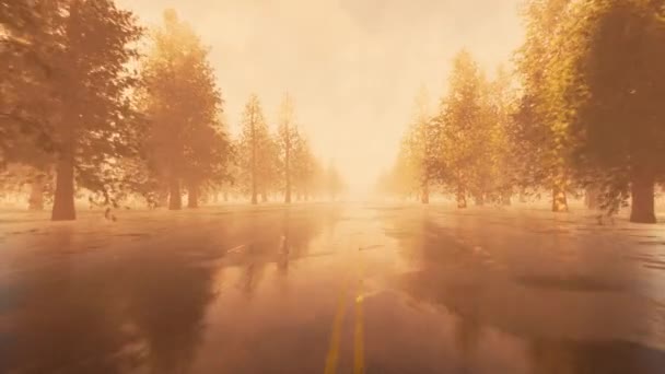 Camino después de la lluvia Paisaje rural. Campo otoño paisaje. — Vídeos de Stock