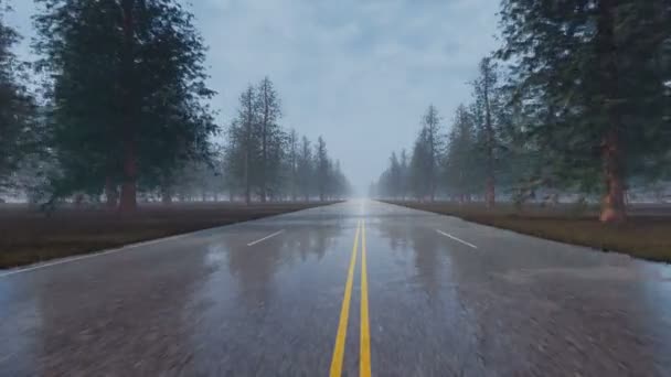 雨ぬれた空の道路自然風景 — ストック動画