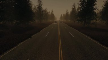 Gece trafiği sisli orman manzarası