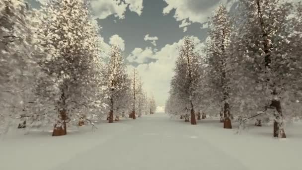 Natura paesaggio neve strada inverno foresta — Video Stock