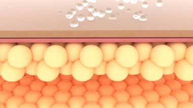 Deri katmanında 3 boyutlu cilt onarımı İnsan sağlığı kavramı