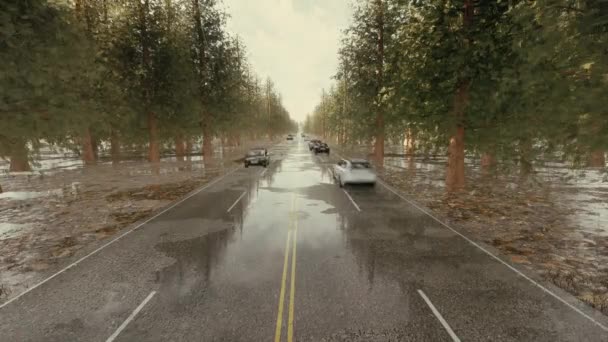 Traffico stradale durante la pioggia Ora di punta — Video Stock