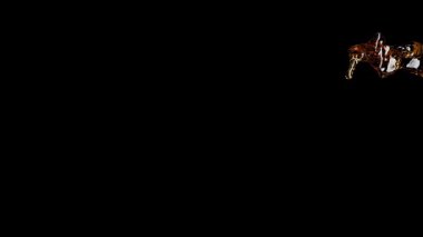 Beer splash on black bg super slow motion 1000 FPS 4k