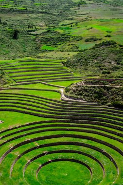 Kutsal Vadi 'de tarımsal teraslar. Cuzco 'da Moray, Kutsal Vadi, Peru