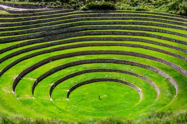 Kutsal Vadi 'de tarımsal teraslar. Cuzco 'da Moray, Kutsal Vadi, Peru