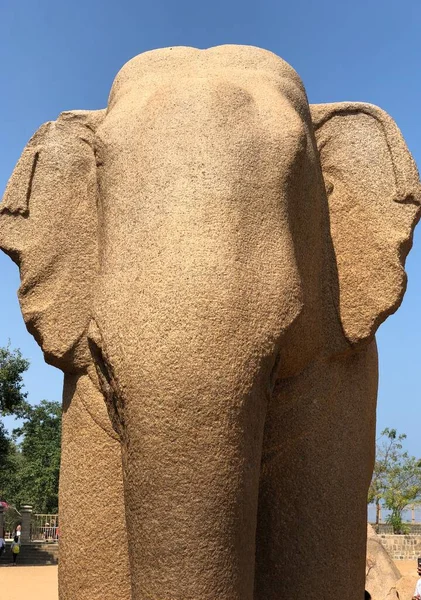 Escultura Animal Elefante Esculpida Nas Rochas Monolíticas Granito Mahabalipuram Tamil — Fotografia de Stock