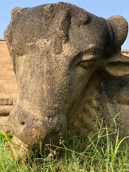 Estatua Bull Nandhi Templo Brihadeeswarar Gangaikonda Cholapuram — Foto de Stock