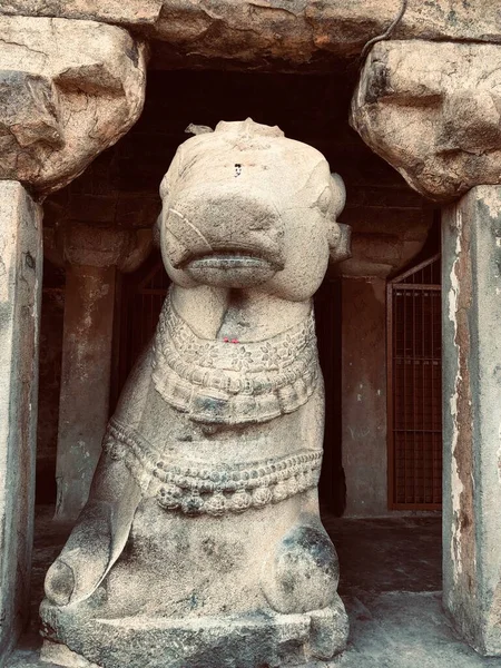 Estatua Monolítica Bull Nandhi Templo Brihadeeswarar Thanjavur Tamil Nadu — Foto de Stock