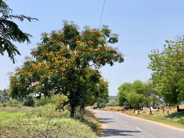 Estrada Campo Aldeia Indígena — Fotografia de Stock