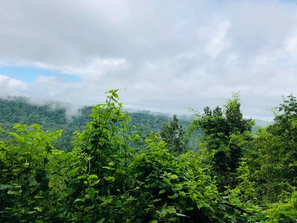 Scenic Udsigt Grøn Skov Med Overskyet Himmel Bjergene - Stock-foto