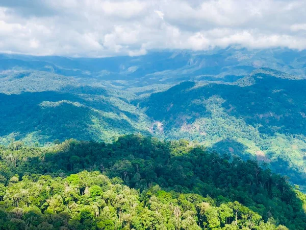 Malerischer Blick Auf Grüne Wälder Mit Bewölktem Himmel Über Den lizenzfreie Stockfotos