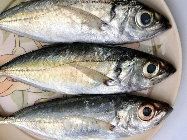 Peixes Frescos Mantidos Num Prato Para Venda Mercado — Fotografia de Stock