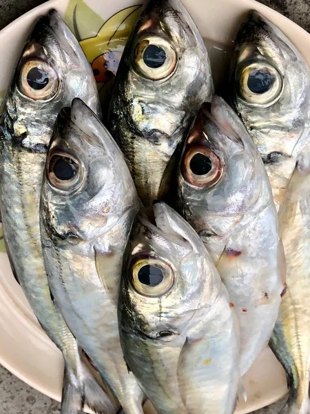 Peixes Frescos Mantidos Num Prato Para Venda Mercado — Fotografia de Stock