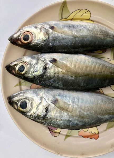 Peixes Frescos Mantidos Num Prato Para Venda Mercado — Fotografia de Stock