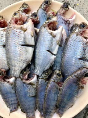 Tatlı su Jalebi Balığı yemek pişirmek için bir tabakta saklanır.