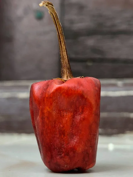Vörös Színű Habanero Capsicum Chinense Fajok — Stock Fotó