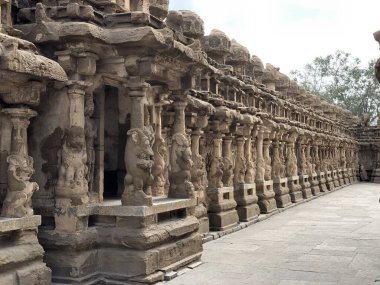 Kanchipuram, Tamil Nadu 'daki eski Kançi Kailasanathar tapınağının sütunlarında güzel aslan heykelleri olan küçük özdeş türbeler.