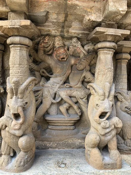 坎齐普拉姆卡巴桑塔古寺石柱中狮子雕塑的砂岩雕刻 — 图库照片