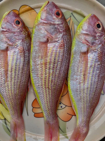 Frischer Roter Snapper Fisch Auf Dem Markt Nahaufnahme Eines Zum — Stockfoto
