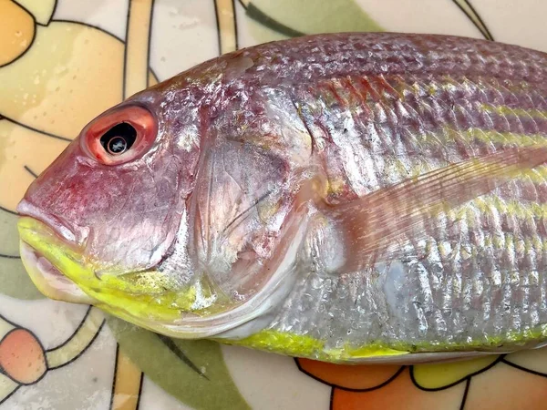 Frischer Roter Snapper Fisch Auf Dem Markt Nahaufnahme Eines Zum — Stockfoto