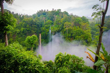 Gündüz vakti tropikal ormanlardaki şelalelerin manzarası