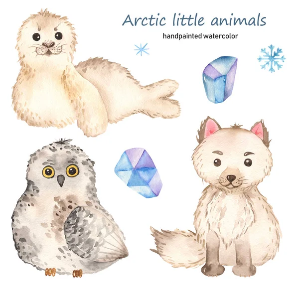 북극의 작고 귀여운 동물들 물색, 북극의 여우, 바다표범, 올빼미 — 스톡 사진