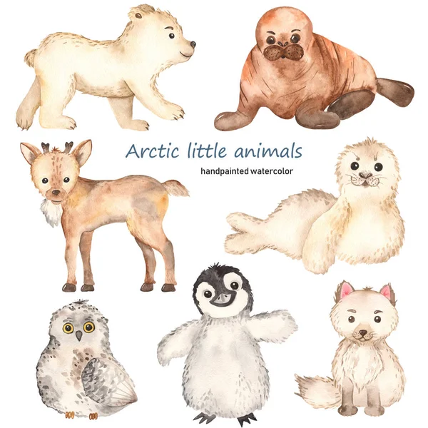 Pequeños animales lindos árticos acuarela. Zorro ártico, oso polar, morsa, reno, foca, búho, pingüino — Foto de Stock