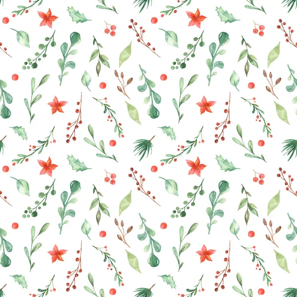 Akvarell karácsonyi minta fenyő ágak, magyal, bogyók, virág, levelek — Stock Fotó