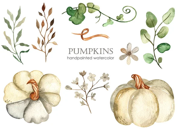 Citrouilles Blanches Feuilles Fleurs Ensemble Aquarelle Clipart Dessiné Main — Photo