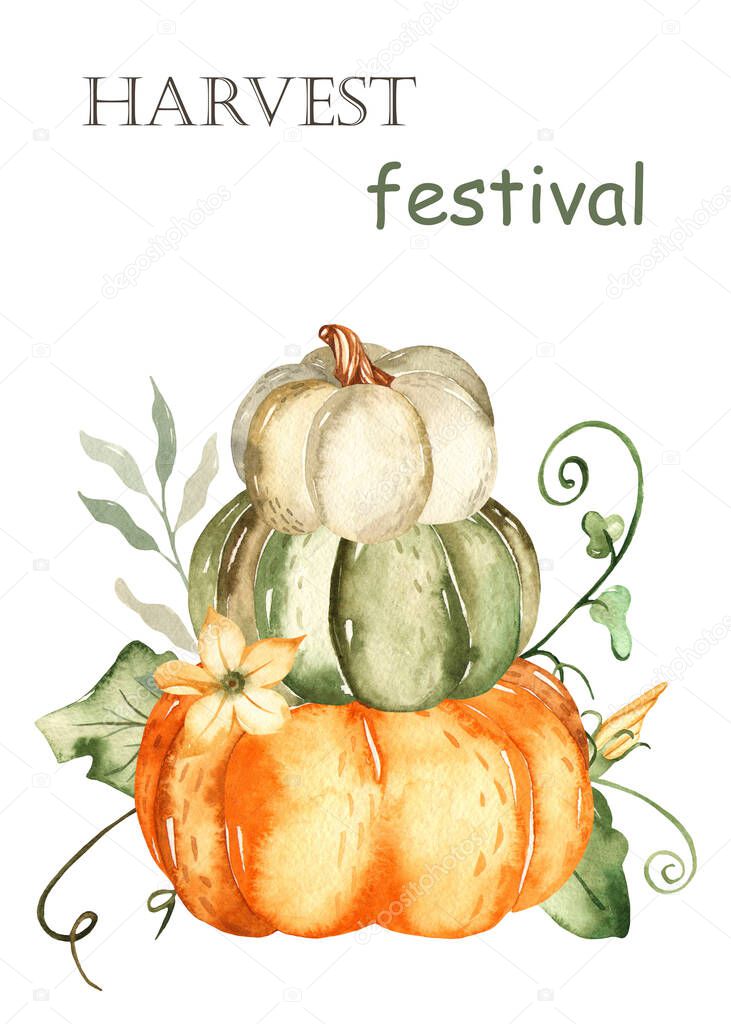Pumpkins, autumn leaves, flowers, harvest festival. Watercolor card