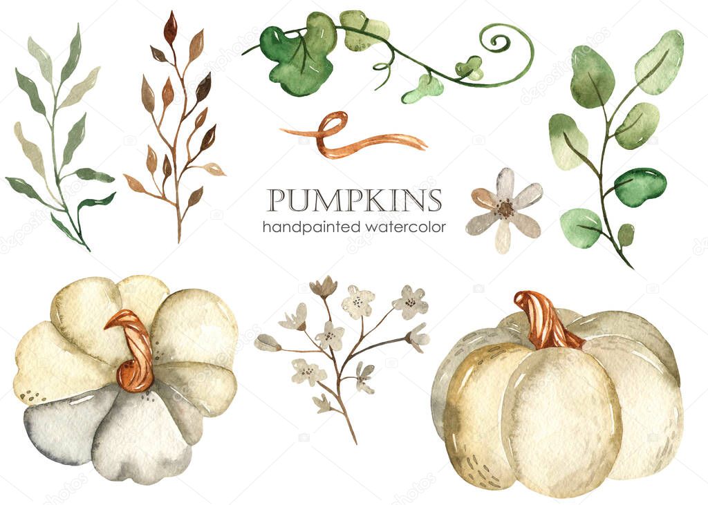 White pumpkins, leaves, flowers. Watercolor set. Hand drawn clipart