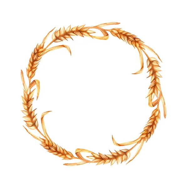 小麦の耳 ロゴ用水彩手描きリース — ストック写真